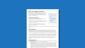 What Can Importers Do Now PDF
